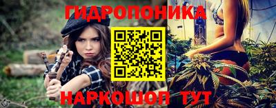 стафф Гай