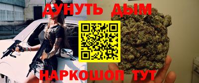 стафф Гай