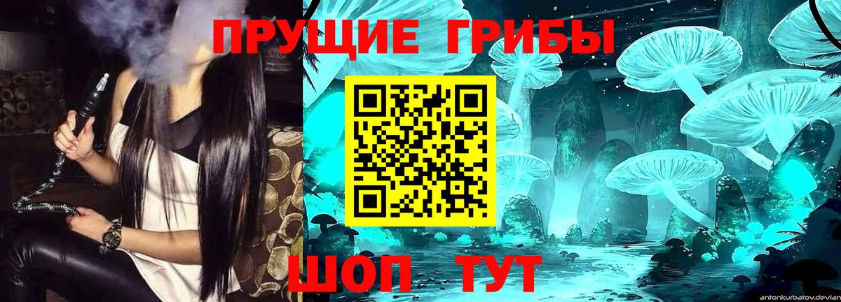 Галлюциногенные грибы ЛСД  продажа наркотиков  Оренбург  Вход с VPN 